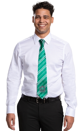 Picture of Slytherin Tie - Adult